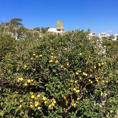 Carano * Ischia